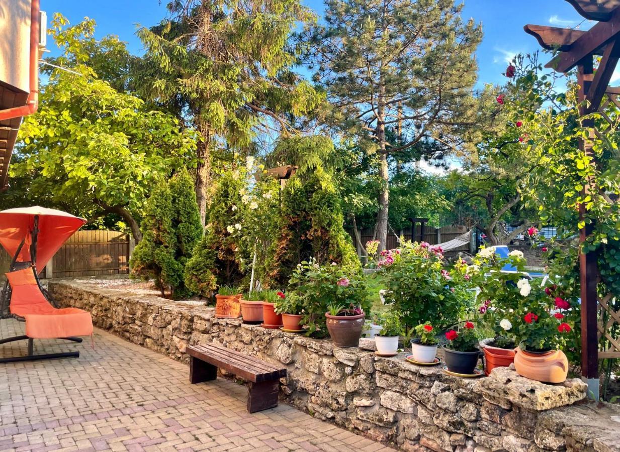 Bed and Breakfast Vamabel House Vama Veche Exterior foto
